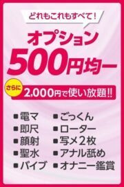 オプション500円