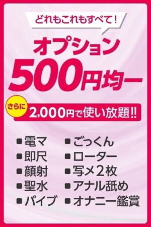オプション500円